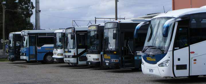 Ventura coaches at Oakleigh depot